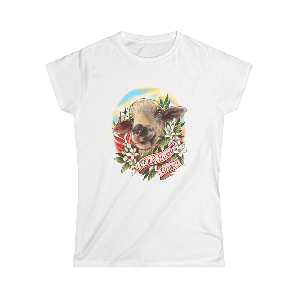 USA How lucky I am - LIMITED EDITION LADIES T Shirt - fundraising t for Jacobs Ridge Infirmary
