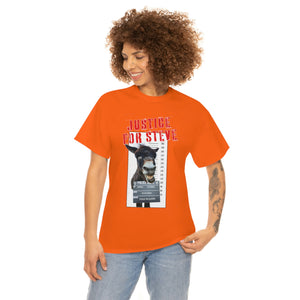 USA JUSTICE FOR STEVE Unisex Heavy Cotton Tee